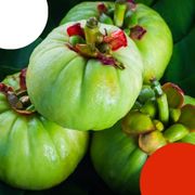 vrai-faux-junior-garcinia-combogia-soja